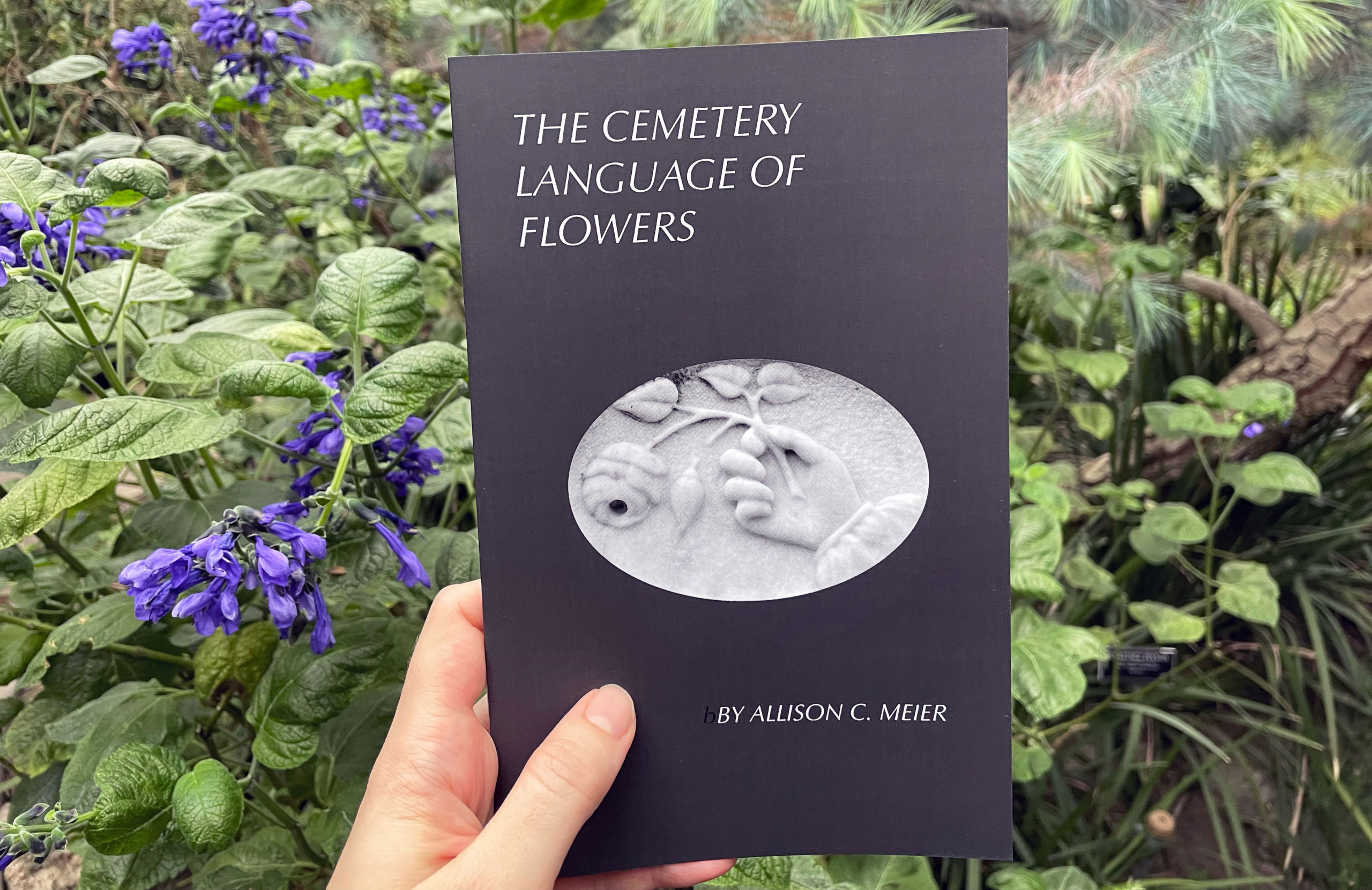 Cemetery Language of Flowers