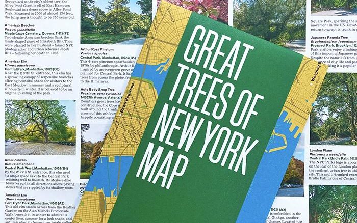 Great Trees of New York Map